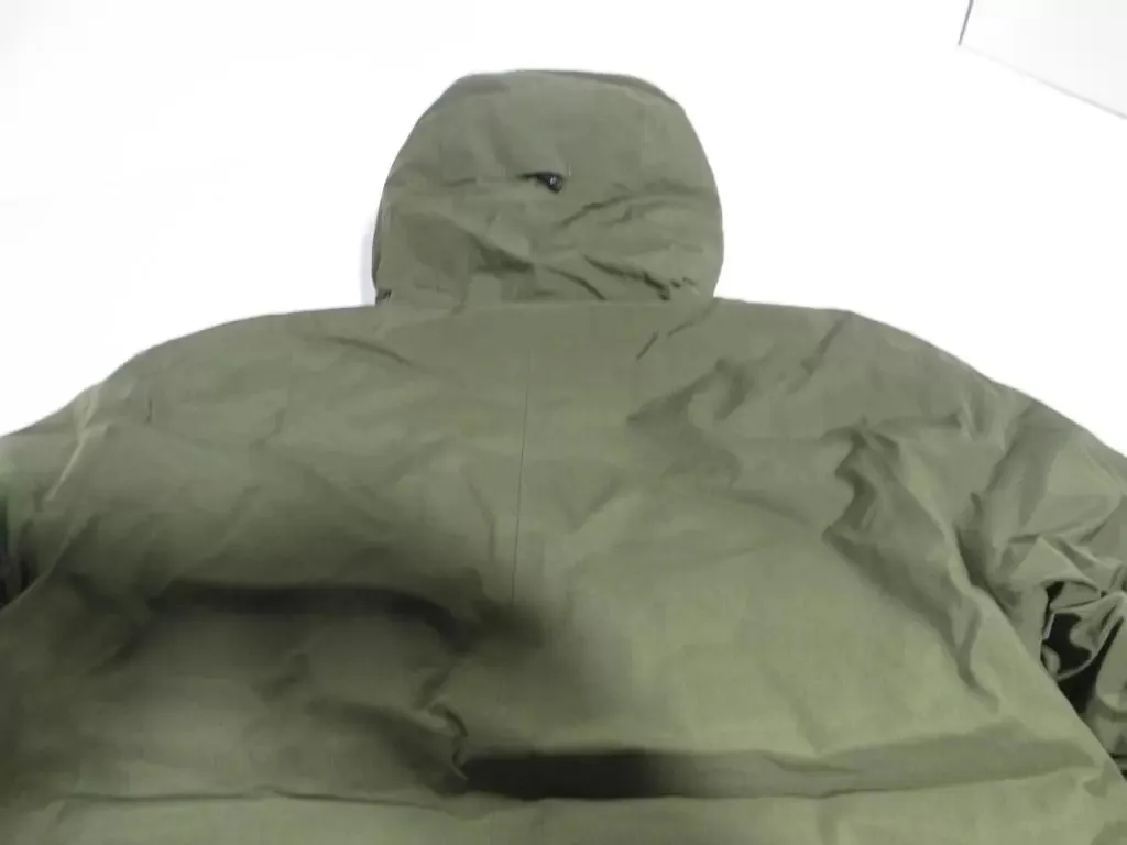 Backcountry Harbin GORE-TEX Down Parka